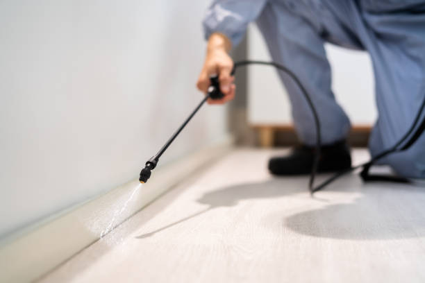 Licensed Pest Control service in St. Paul, TX - Show Me Pest Control