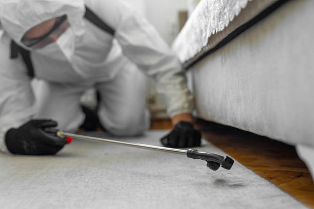 Professional Ant Control technician working in St. Paul, TX