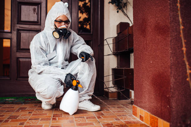 Reliable Ant Control contractor in St. Paul, TX by Show Me Pest Control